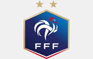 La Fédération Française de Football a publié toutes les modalités possibles pour la fin des championnats
