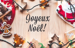 🟡 Joyeux Noël à toutes et à tous ! 🔵 